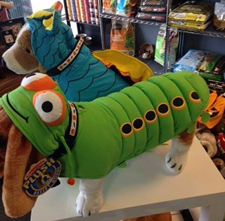 Costumes-for-Sale-2